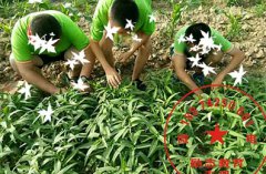 益阳市心理抑郁少年到心理健康教育学校改变好了