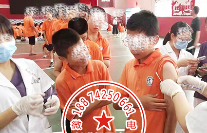 戒网瘾学校正规机构湖南清德集团