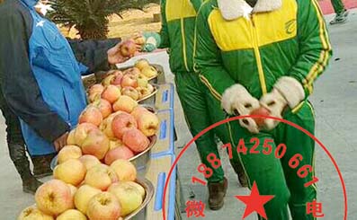 孩子上网受骗怎么办,如何教育孩子不要沉迷网络游戏和手机电脑