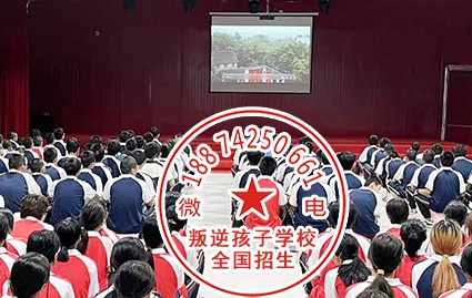 纠正小孩子早恋的教育培训机构,封闭式正规学校