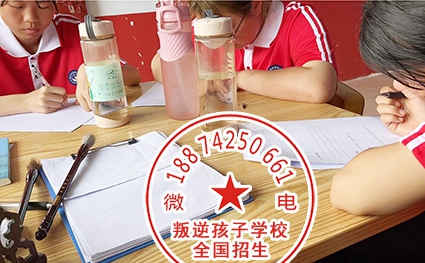 如何让孩子快速提升学习成绩,小孩子不想读书怎么办