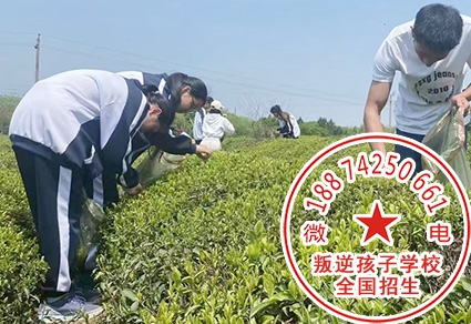 如何培养孩子拥有坚强的意志力和独立能力,来特训学校培训培养