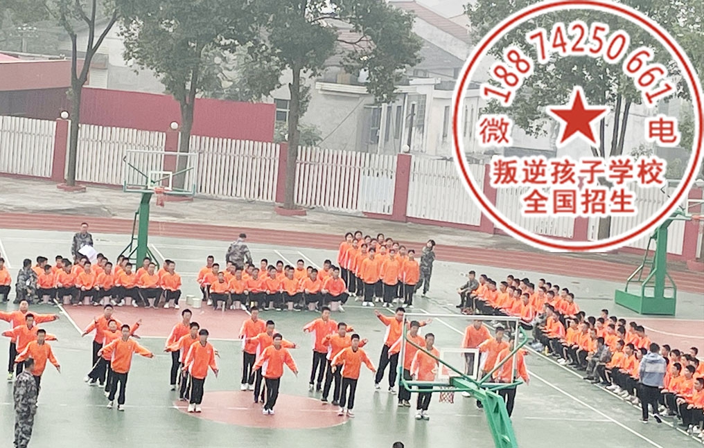 教育问题青少年的学校