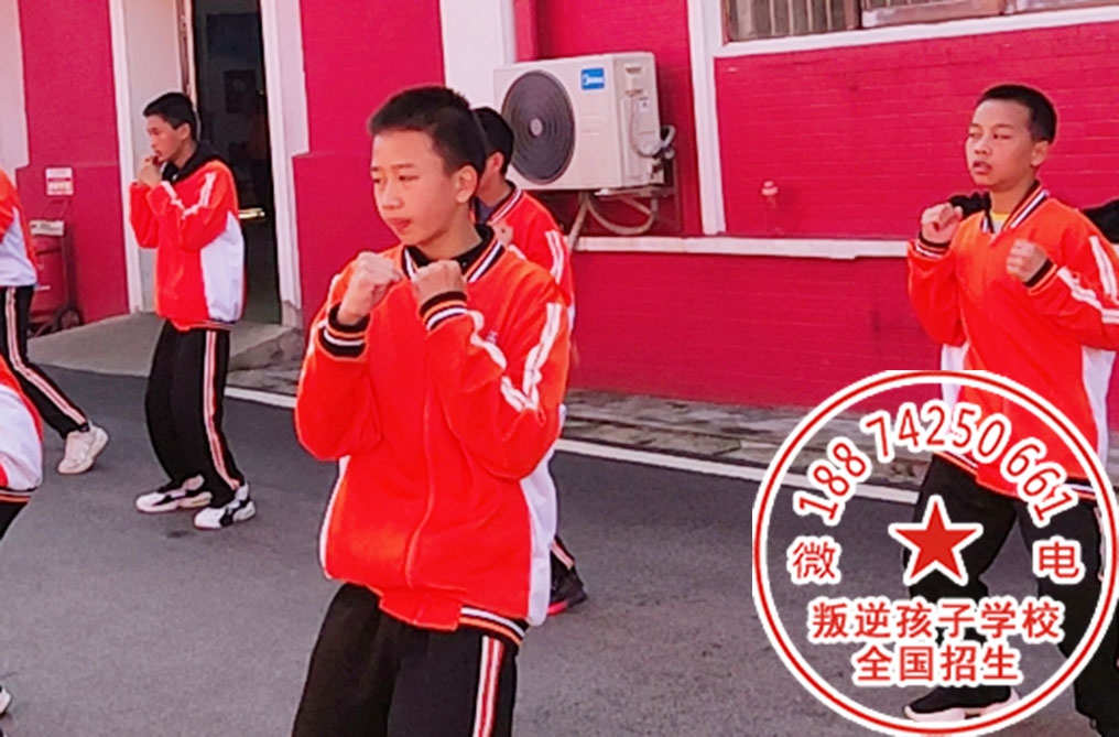 安庆特训学校