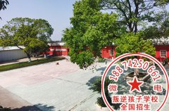 这些是家长改变不了的叛逆不听话孩子