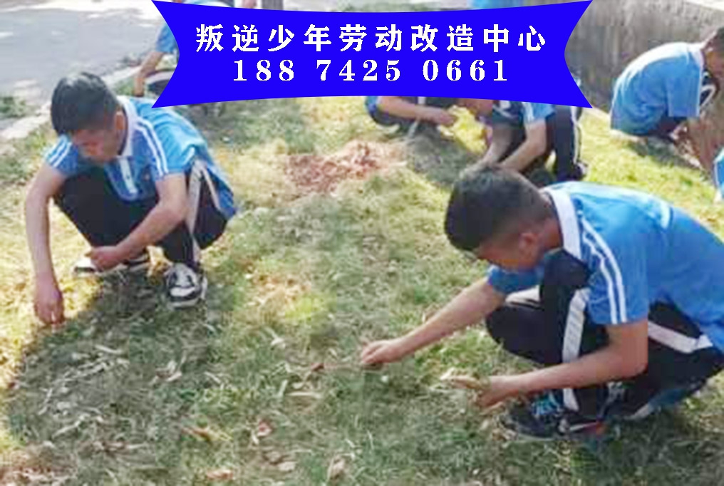 福建省正规戒网瘾的学校机构