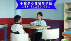 青少年心理辅导学校师生一对一心理辅导课程