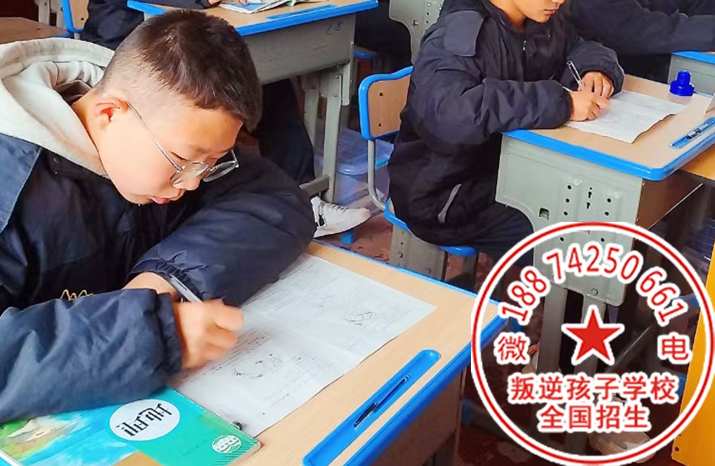 问题少年专门教育学校