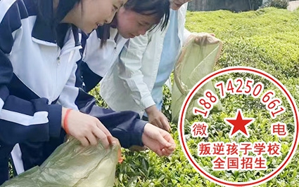 青少年劳动改造中心