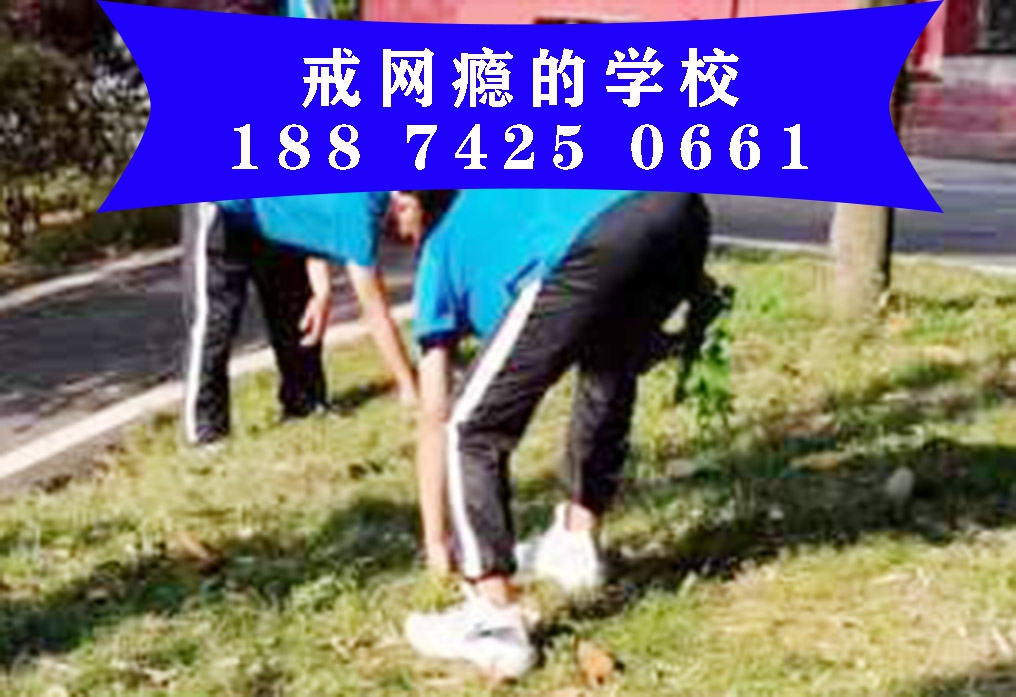 改造小孩子行为问题的教育学校