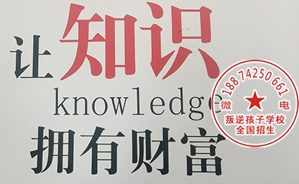 管教叛逆孩子的学校怎么教育学生