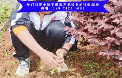 叛逆期少年结交社会朋友被诱导，后来在