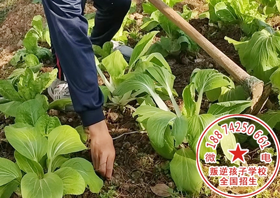 特训学校课程