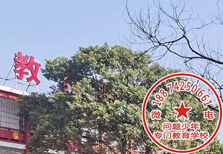 青少年素质教育戒网瘾学校
