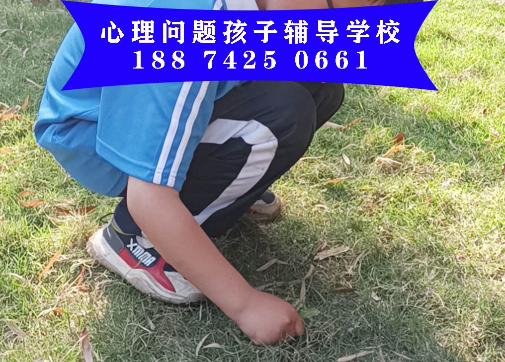 少年行为培训学校